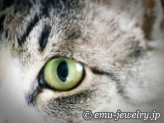 大切な家族であるネコちゃんをモチーフにしたジュエリー。