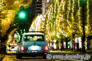 「トップラン」ピカピカレイン スリックタッチ