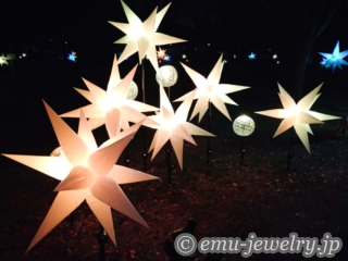 「花と光のムーブメント」小金井公園ナイトパーク ワンダー